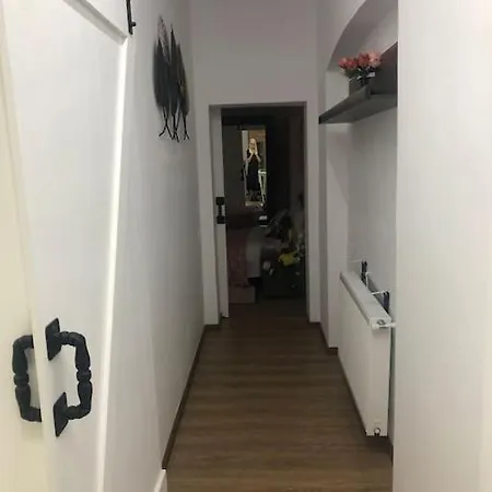 Dumbrava Rosie - Ultracentral Historical * Bukarest