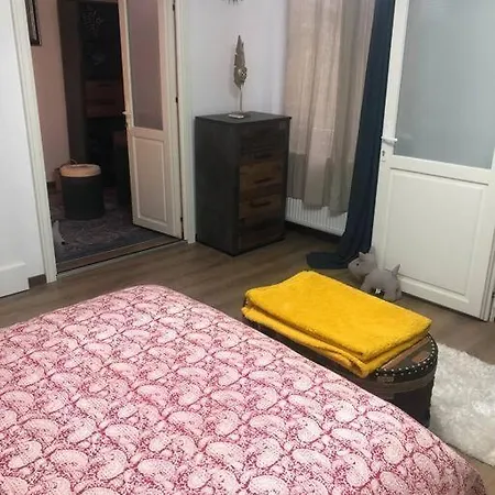 Dumbrava Rosie - Ultracentral Historical Апартаменти *