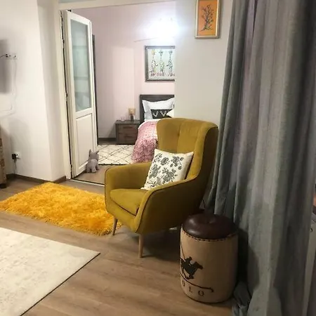 Appartement Dumbrava Rosie - Ultracentral Historical